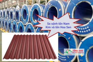So sánh tôn Nam Kim và tôn Hoa Sen