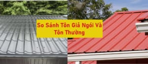 Cùng Mạnh Hà so sánh các điểm giống và khác nhau giữa 2 loại tôn thường và tôn giả ngói