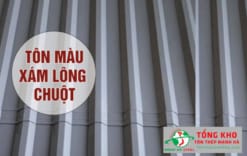 Tôn màu xám lông chuột