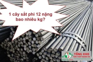 Sắt phi 12 nặng bao nhiêu kg?